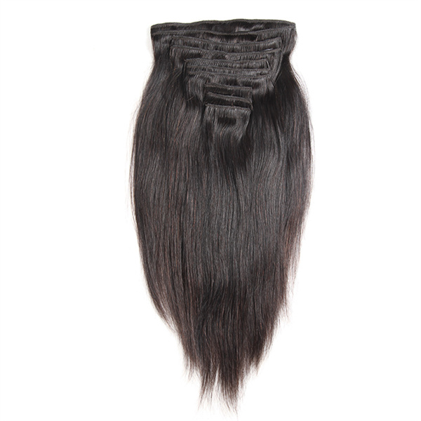 Straight Clip In Hair Extension